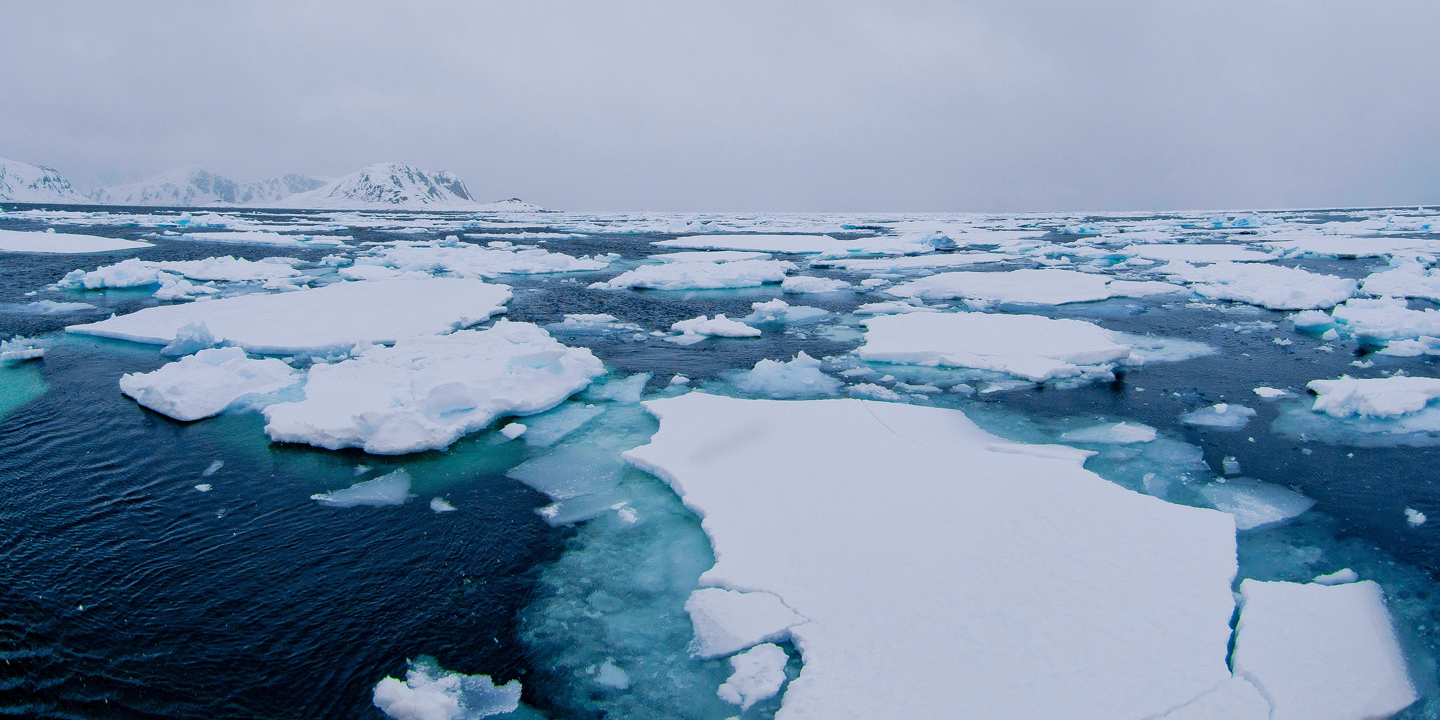 “A ‘frozen’ geopolitical issue”: Svalbard and the geopolitics of Arctic ...